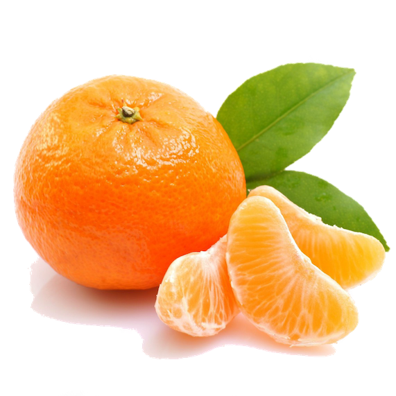 Mandarina