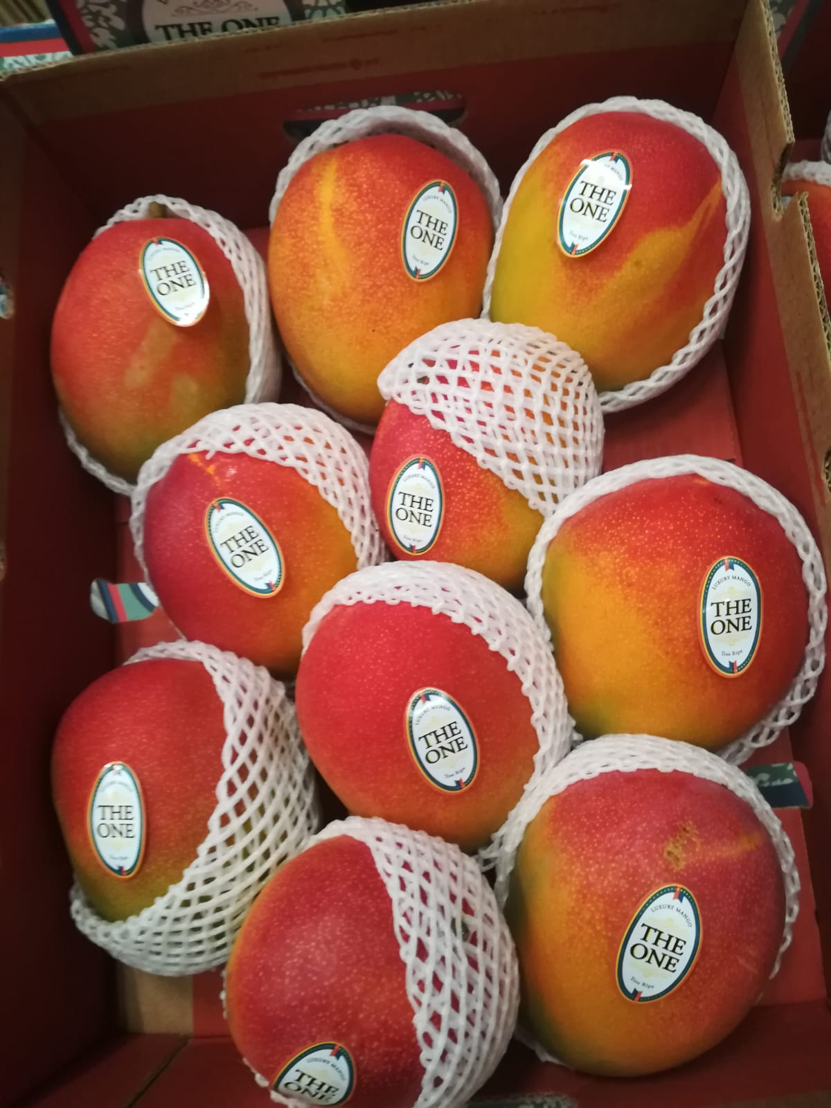 The One mango 1