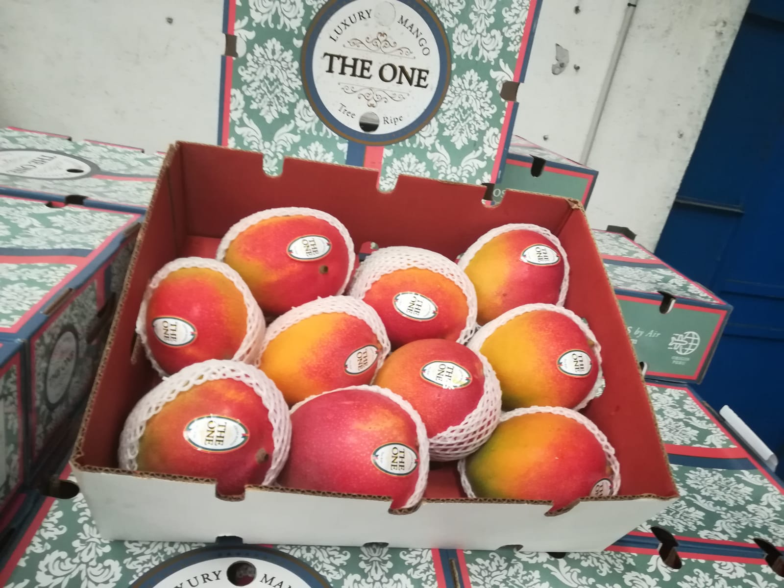 The One mango 6